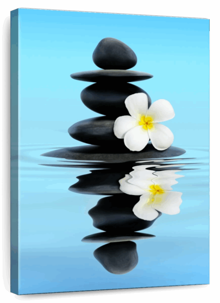 Zen Stone Plumeria Wall Art